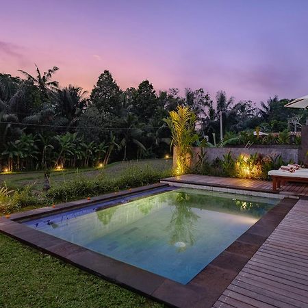 Carik Mesari Villas Ubud  Luaran gambar